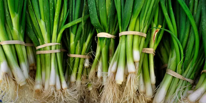 Green onions from the store