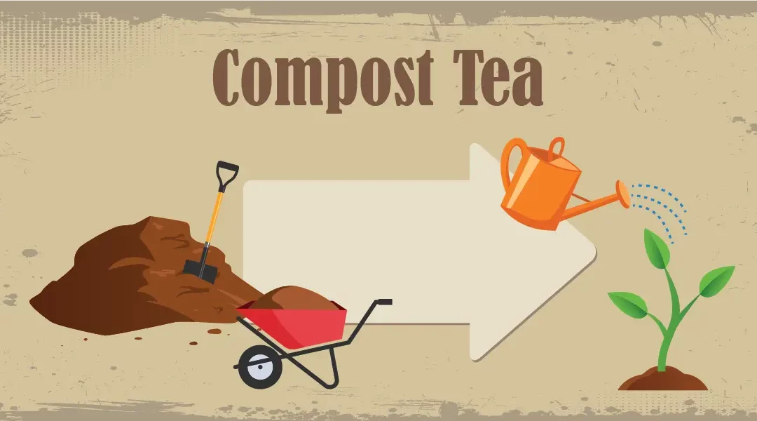 What Is Compost Tea? & How Can You Brew It at Home?