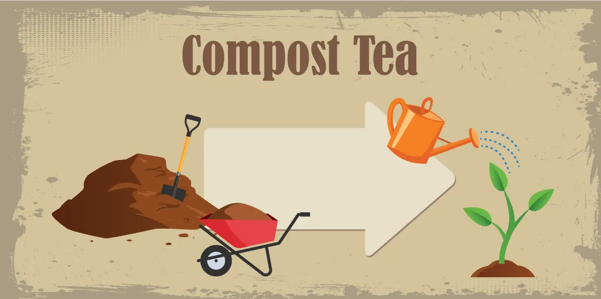 Compost Tea