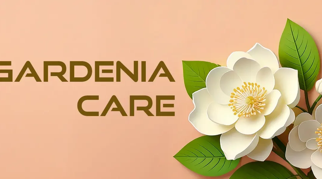 Best Practices for Gardenia Care in Southern California