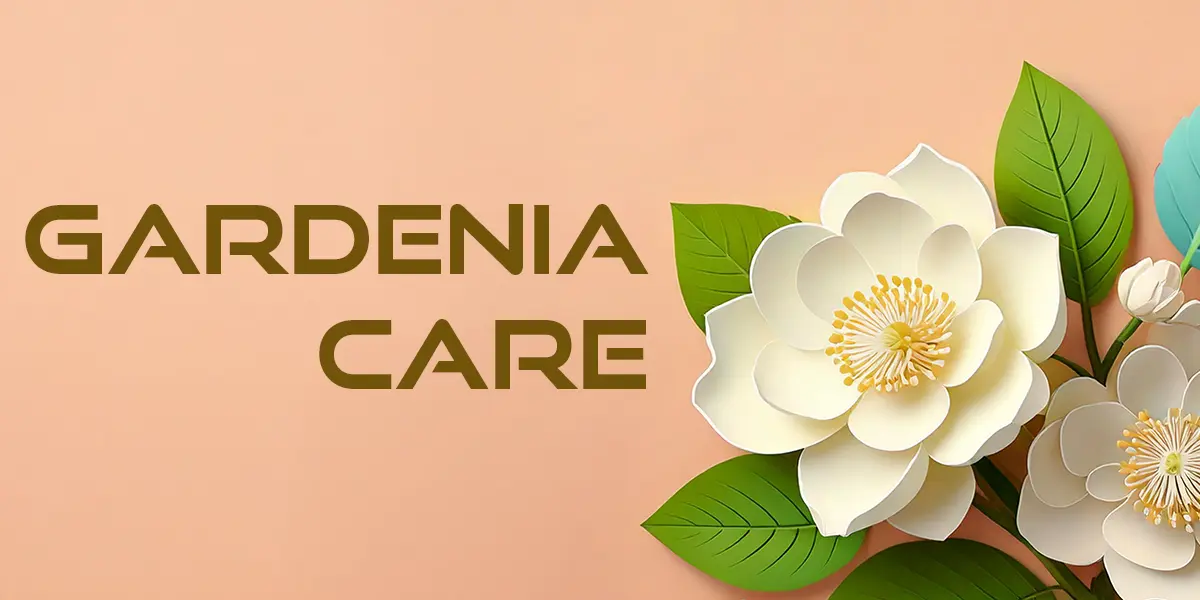 Gardenia Care