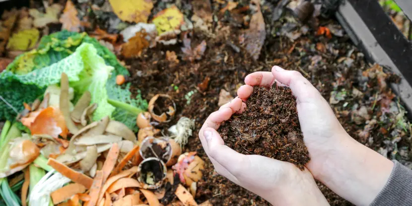 A gardener checks the health of her compost pile