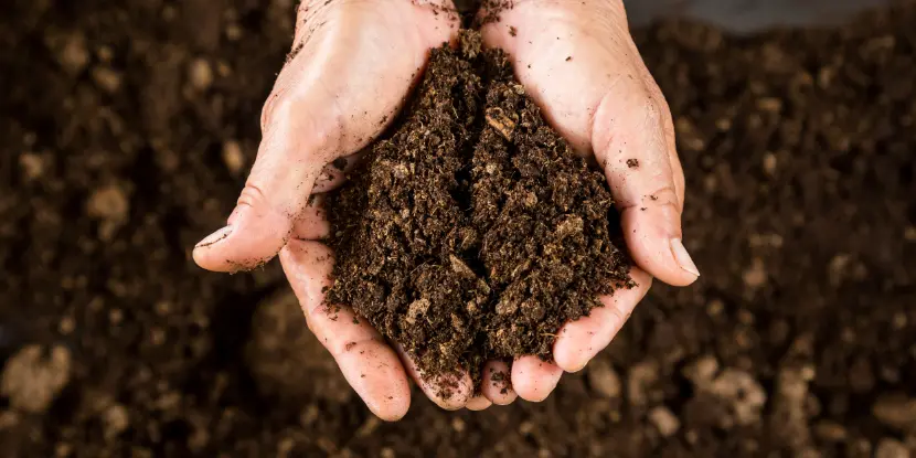 Compost ready for the garden