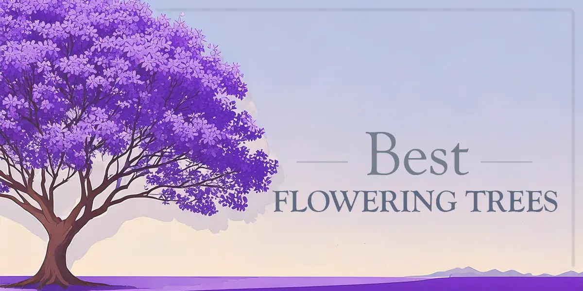 Best Flowering Trees for LA