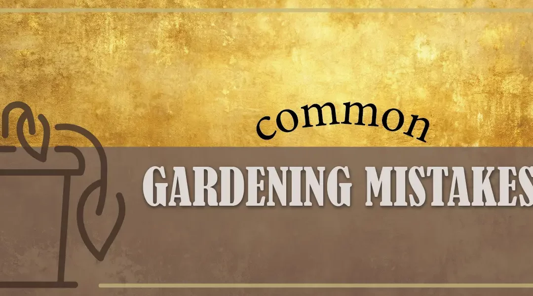 14 Common Gardening Mistakes to Avoid