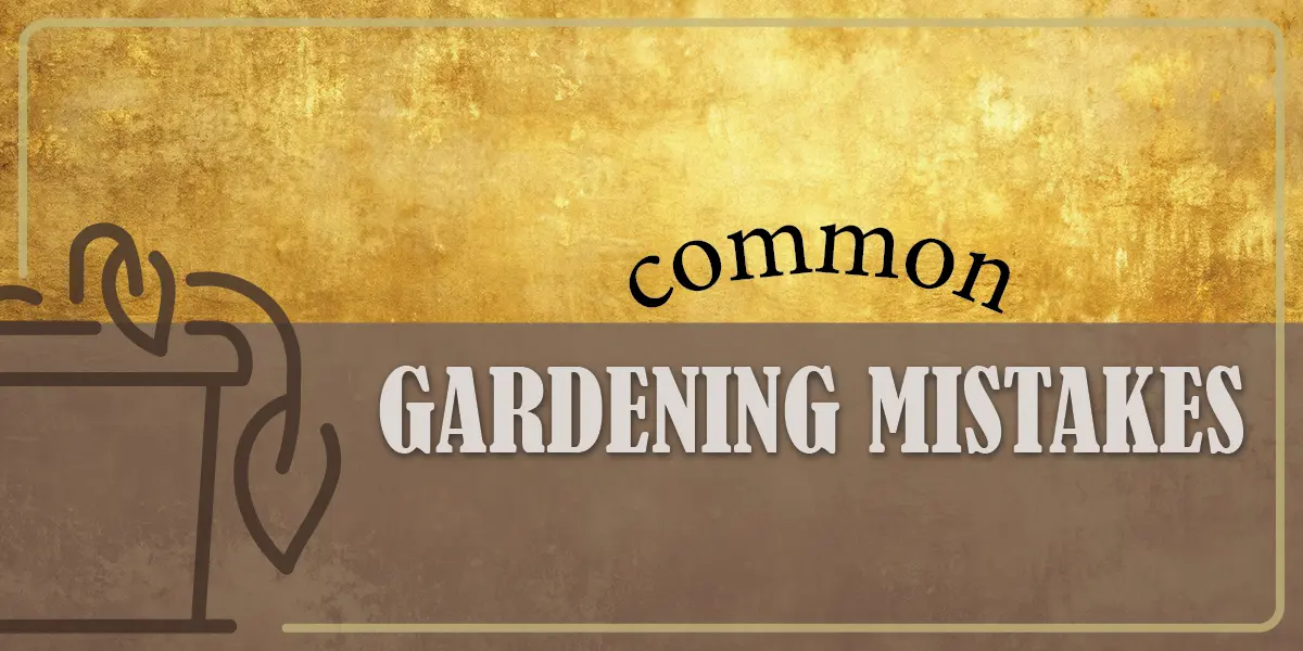 Common Gardening Mistakes