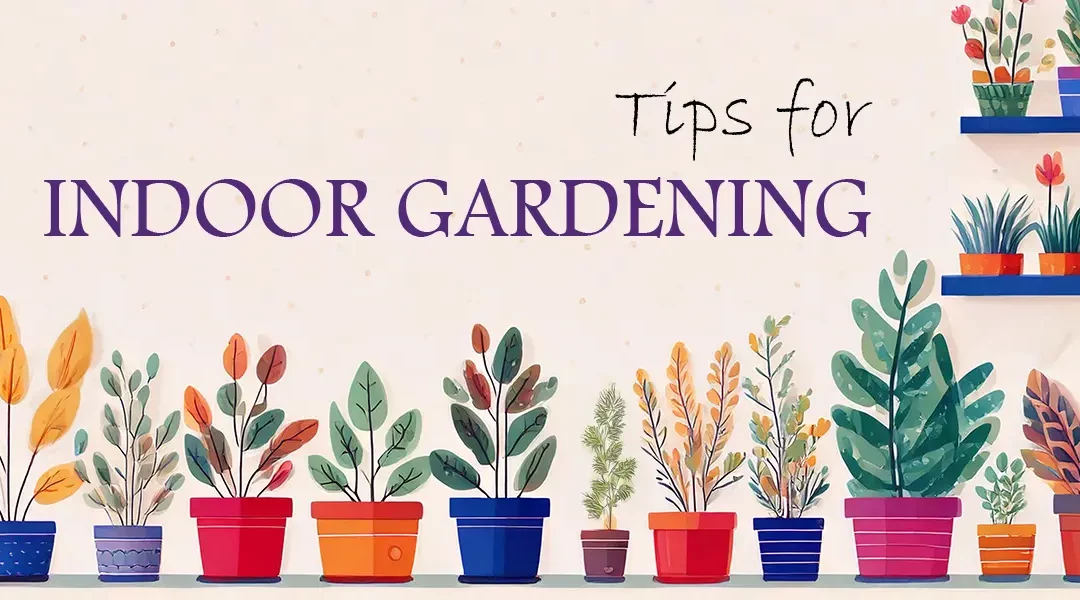 10 Tips for a Thriving Indoor Garden