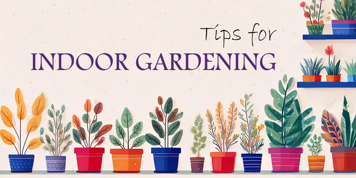 Tips for Indoor Gardening