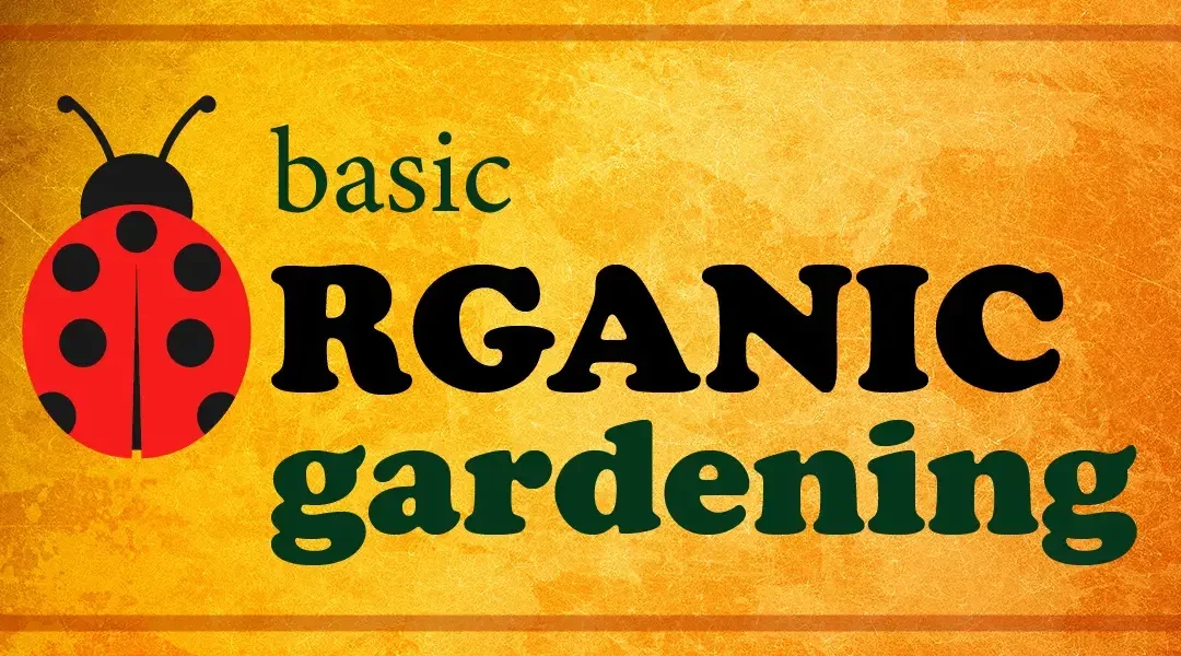 Organic Gardening Tips for Beginners