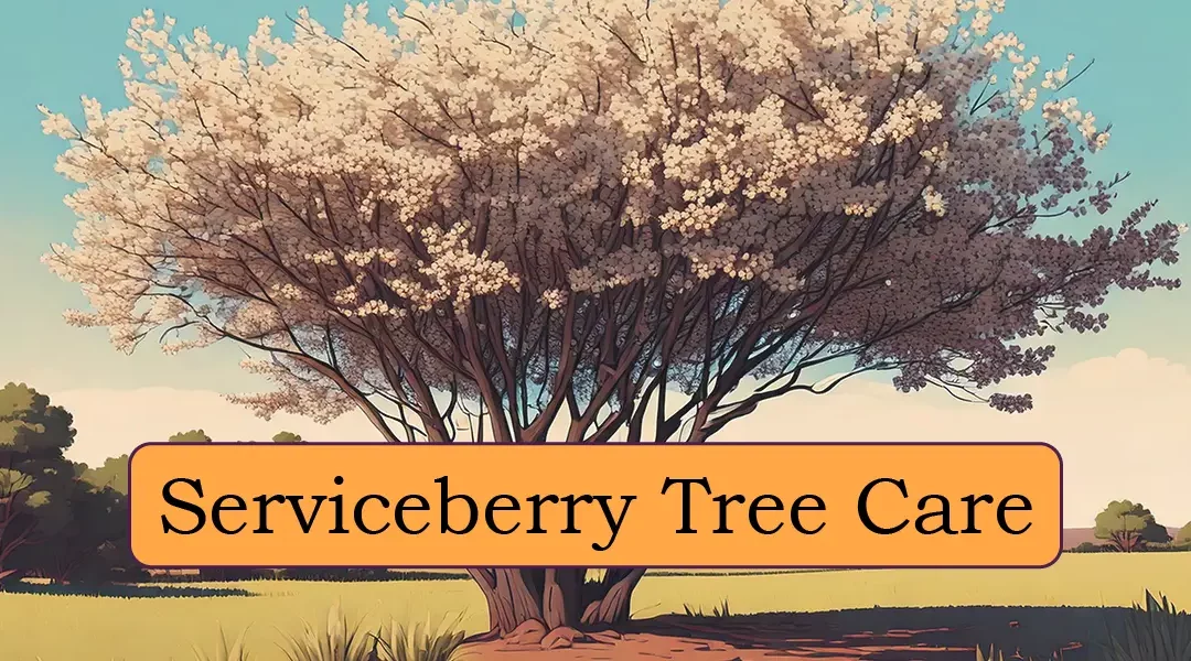 Serviceberry Tree Care 101: Everything You Need to Know