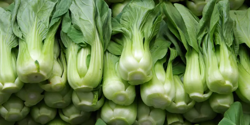 A stack of bok choy plants