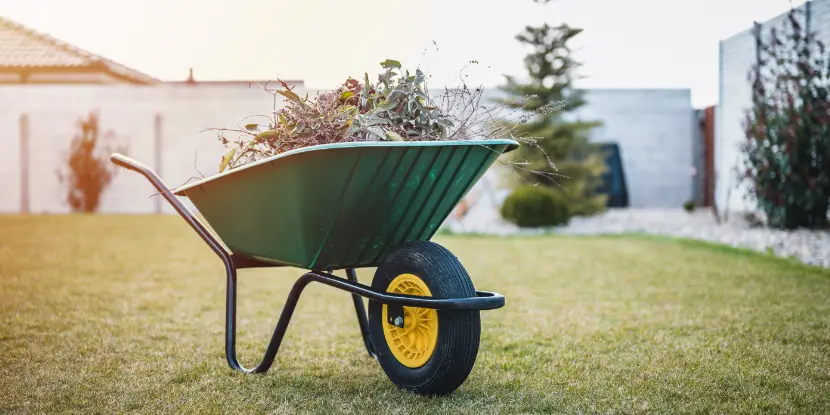 A wheelbarrow filled with garden debris