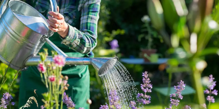 A woman using a watering can to water the garden