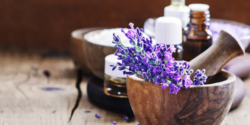 Lavender flowers being ground for a concoction