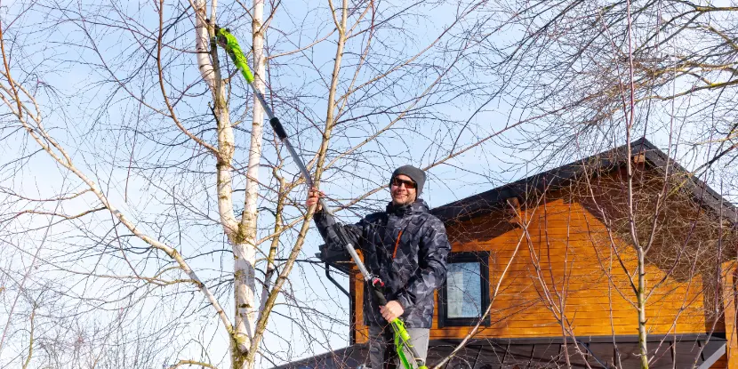 Man using a pole pruner