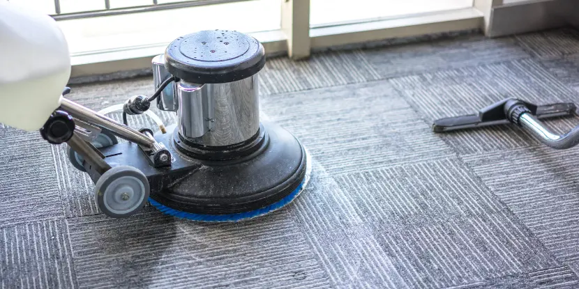 A carpet cleaner scrubbing a rug