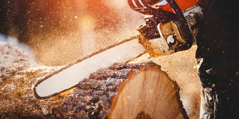 A man cutting a log with a chain saw