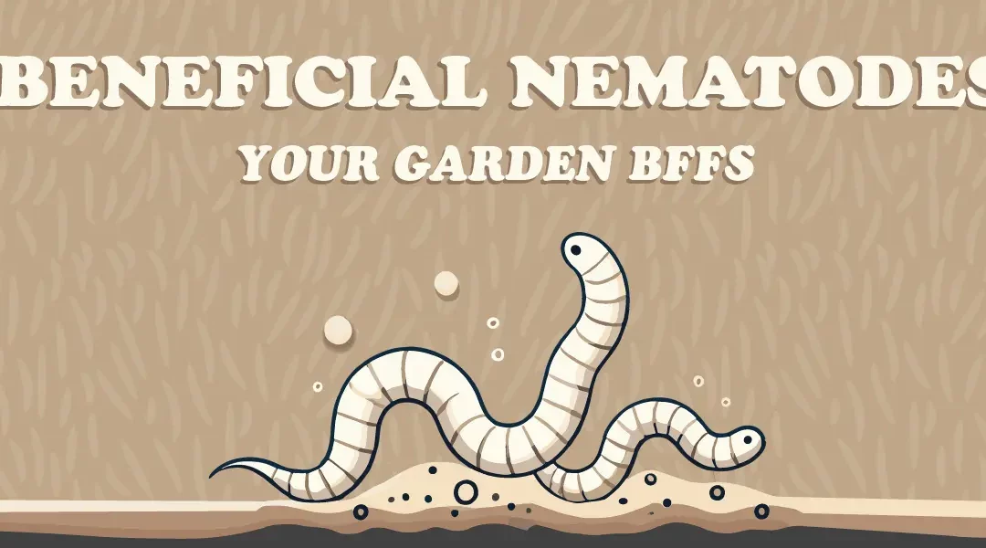 How to Use Beneficial Nematodes to Control Garden Pests