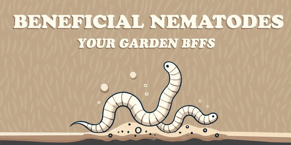 Beneficial Nematodes