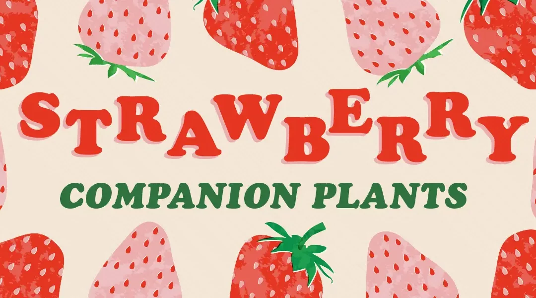 15 Strawberry Companion Plants for a Sweet Harvest