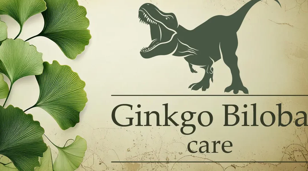 Ginkgo Biloba Tree Care: Pointers for a Primitive Plant