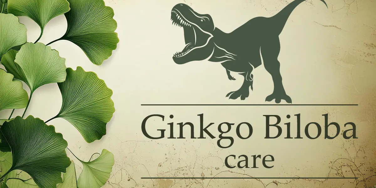 Ginkgo Biloba Tree Care