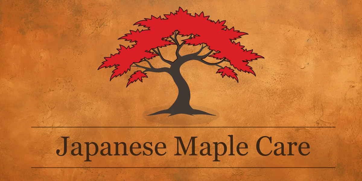 Japanese Maple Care