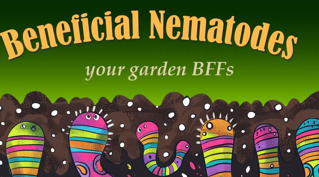 How to Use Beneficial Nematodes to Control Garden Pests