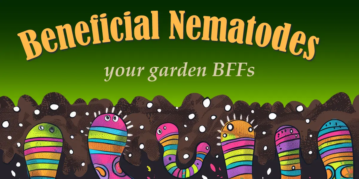 Beneficial Nematodes