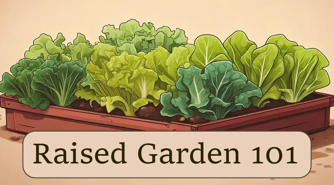 How to Build a Raised Garden Bed: A Step-by-Step Guide