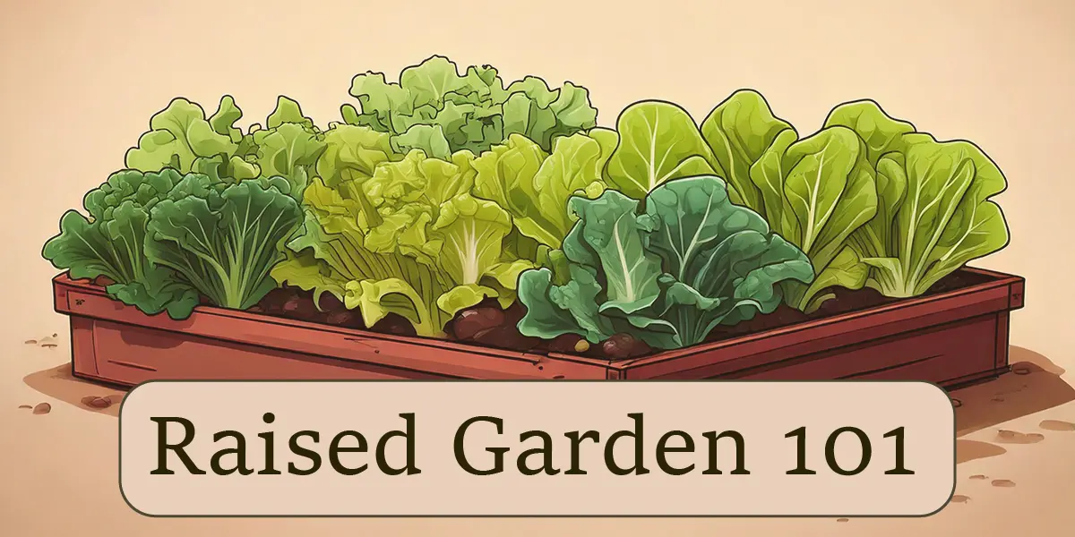 Raised Garden Bed Fundamentals