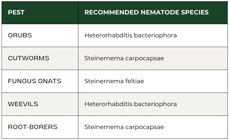 Recommended nematodes species