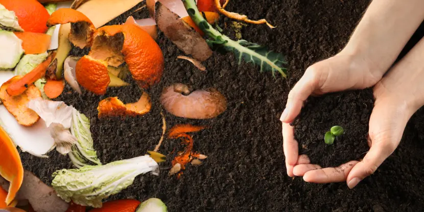 Compost ready for the garden