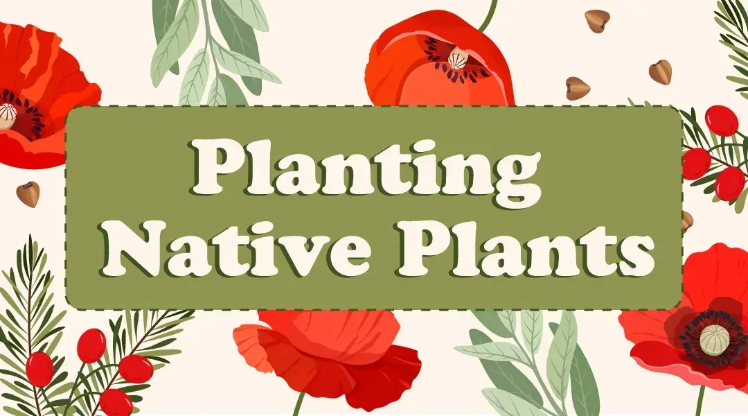 Why Plant Native Plants? Designing Your California Garden 