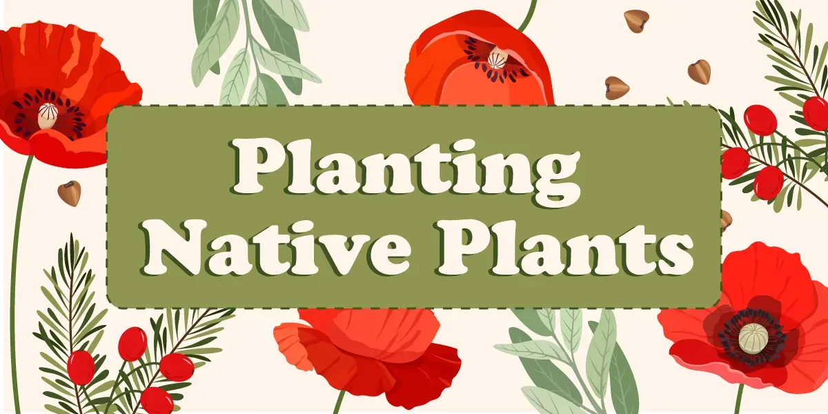 Planting Native Plants