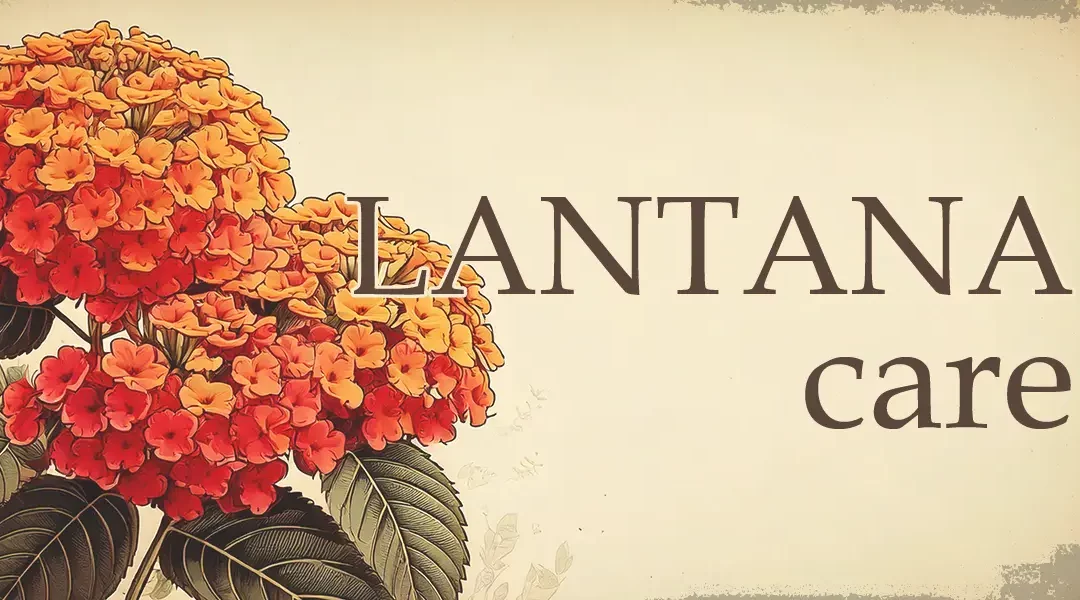 Lantana Care & Cultivation for Drought-Tolerant Gardens