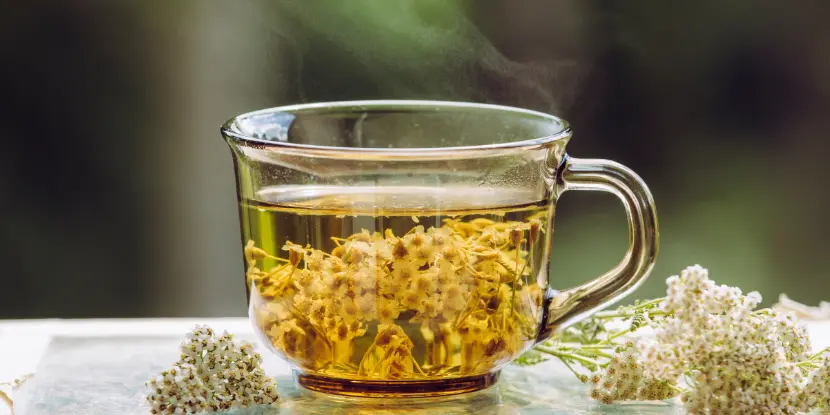 Yarrow tea