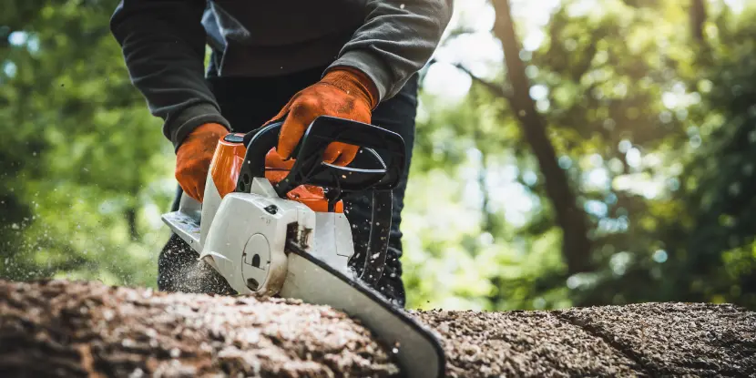 A chainsaw