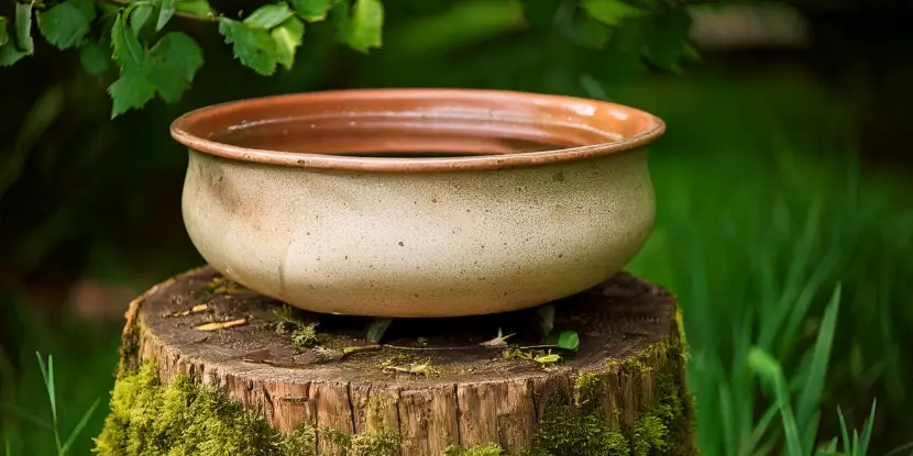 Birdbath from an old serving bowl