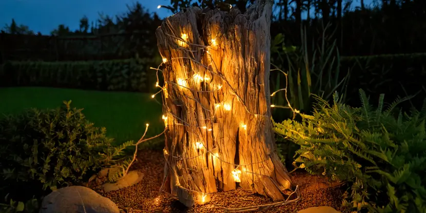 Driftwood wrapped with fairy lights