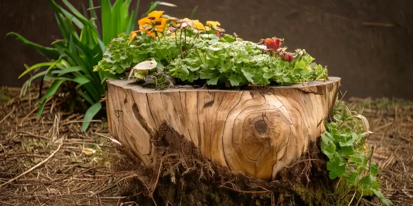 Tree stump planter