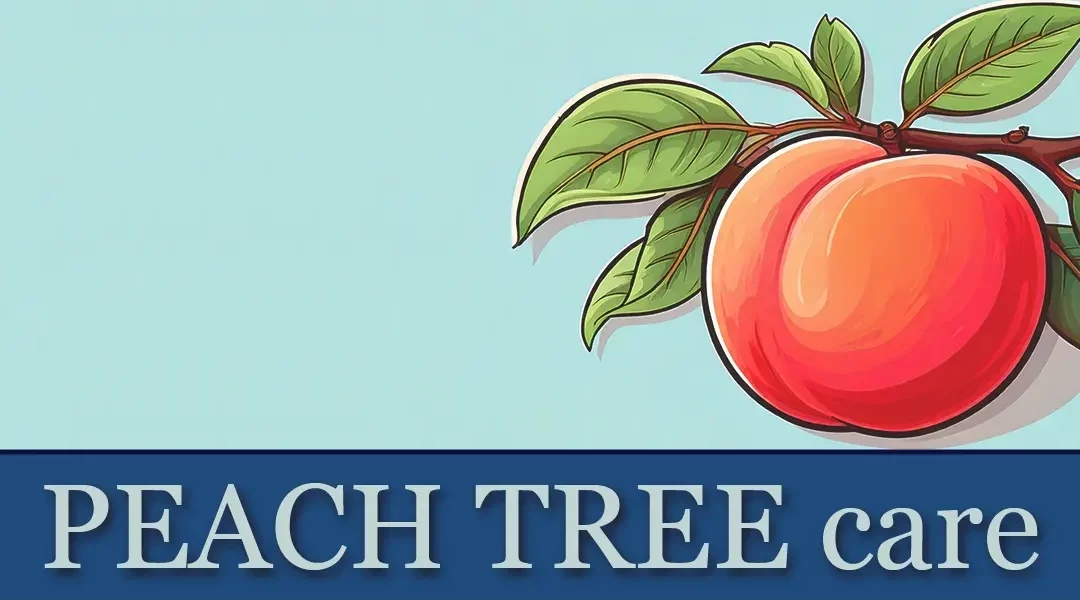 Peach Tree Care in SoCal: Clear Guidelines for the Fuzzy Fruit 