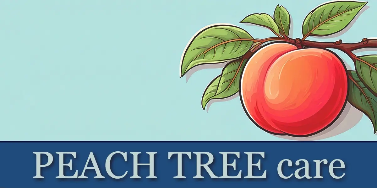 Peach Tree Care