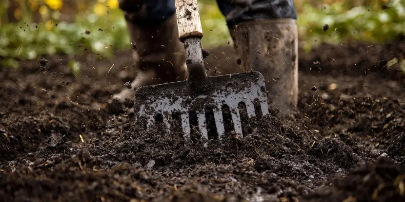 A gardener tills the soil