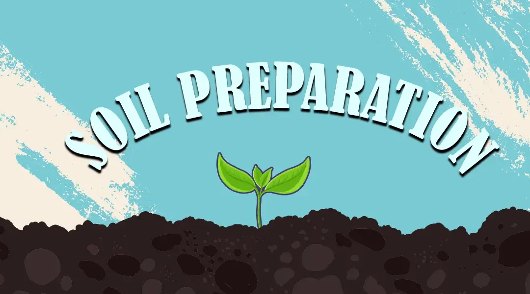 How to Prepare Your Soil for Planting in SoCal: Tips & Techniques