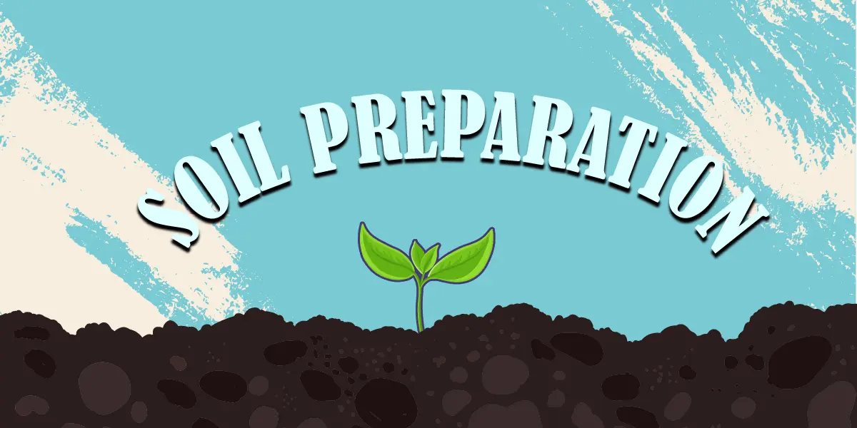 How to Prepare Soil for Planting