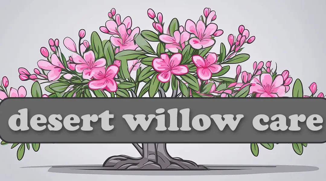 Desert Willow Tree Care Made Easy