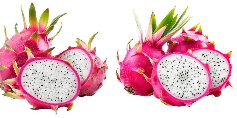 Dragon fruit with white flesh