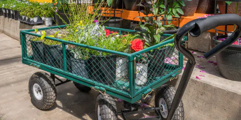 A garden cart in a nursery