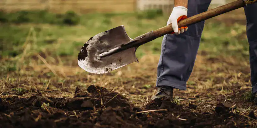 A man tills his garden with a shovel